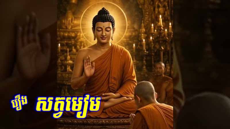 រឿង សត្វមៀម