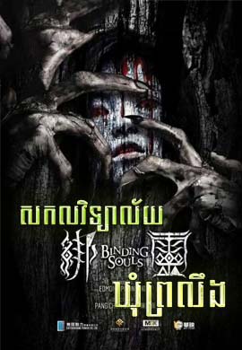 សកលវិទ្យាល័យឃុំព្រលឹង