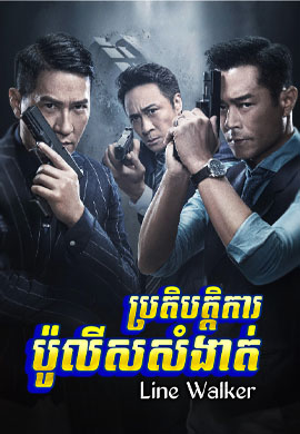 ប្រតិបត្តិការប៉ូលីសសំងាត់